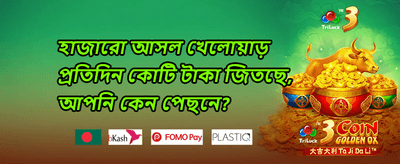 হট স্লট ফ্রি স্পিন উৎসব 🎰 promotion